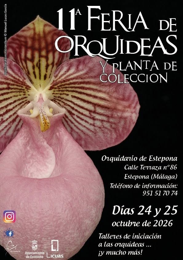 Cartel de la 11ª Feria de Orquídeas y Planta de Colección, 24 y 25 de octubre de 2026
