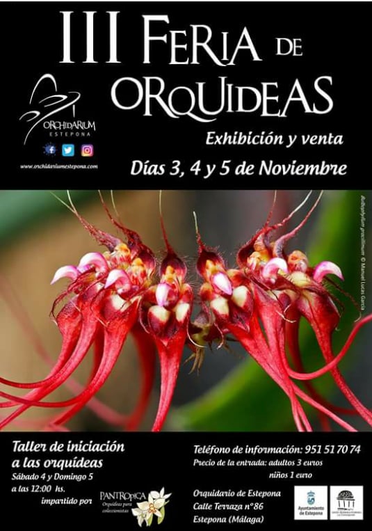 La tercera feria de Orquídeas del 3 al 5 de noviembre