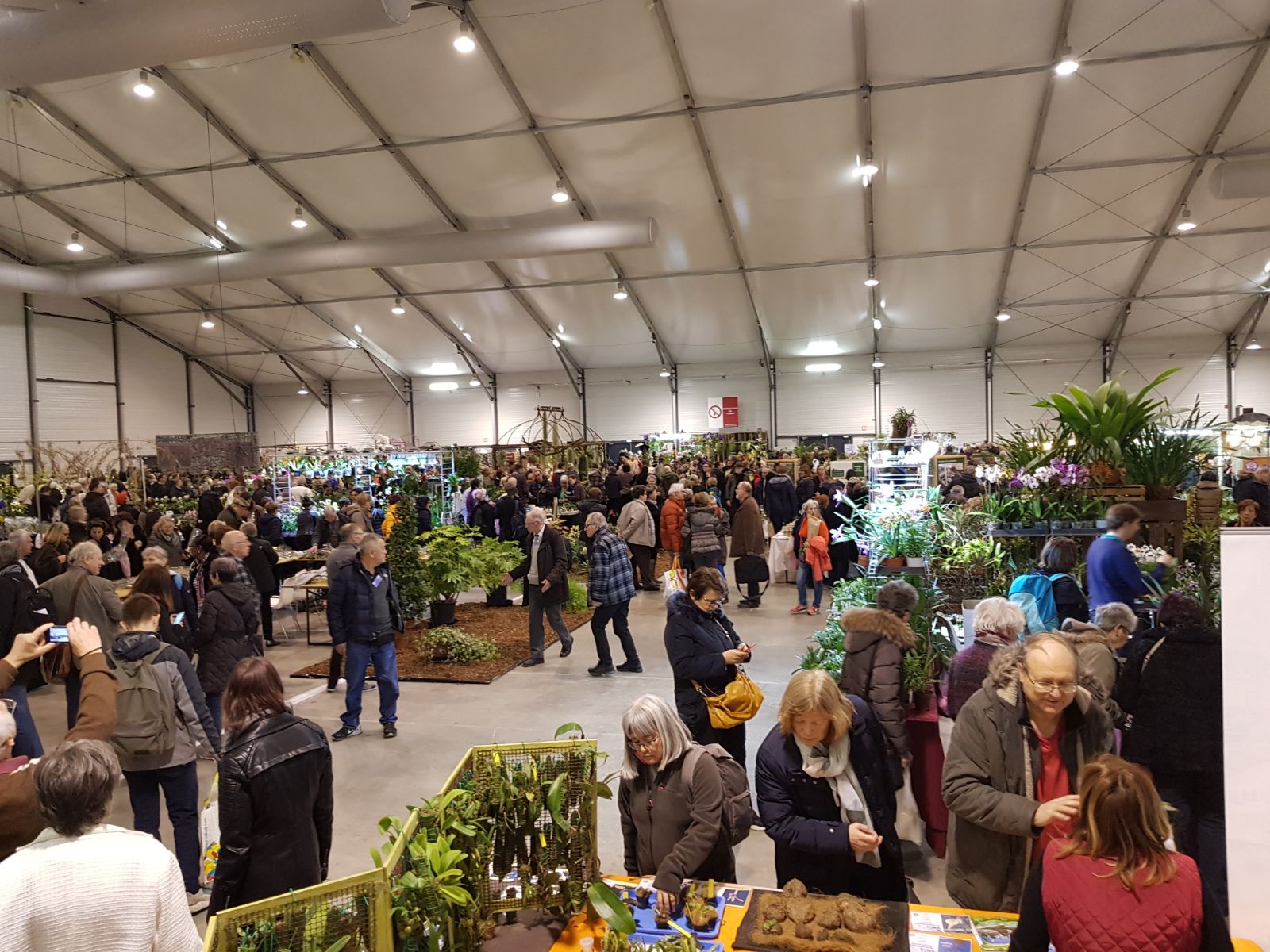 El Orquidario de Estepona participa en la Conferencia y Exposición Europea de Orquídeas en París​