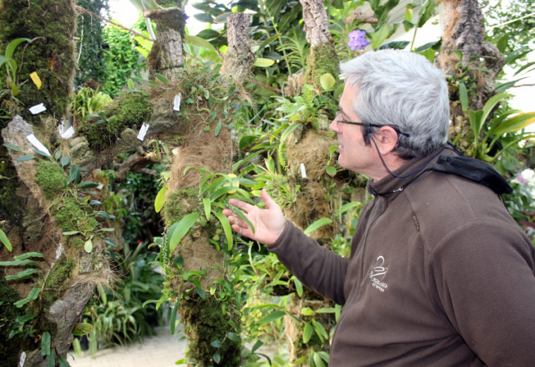 El Parque Botánico-Orquidario de Estepona acoge estos días la floración de más de una treintena de nuevas especies