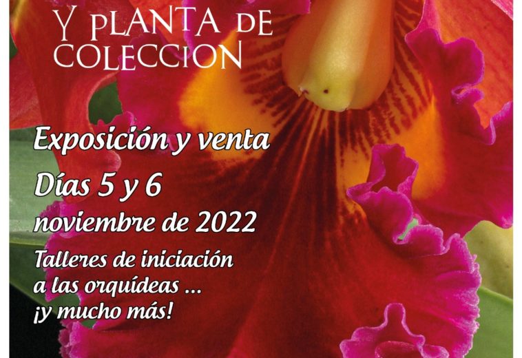 8ª Feria de Orquídeas de Estepona