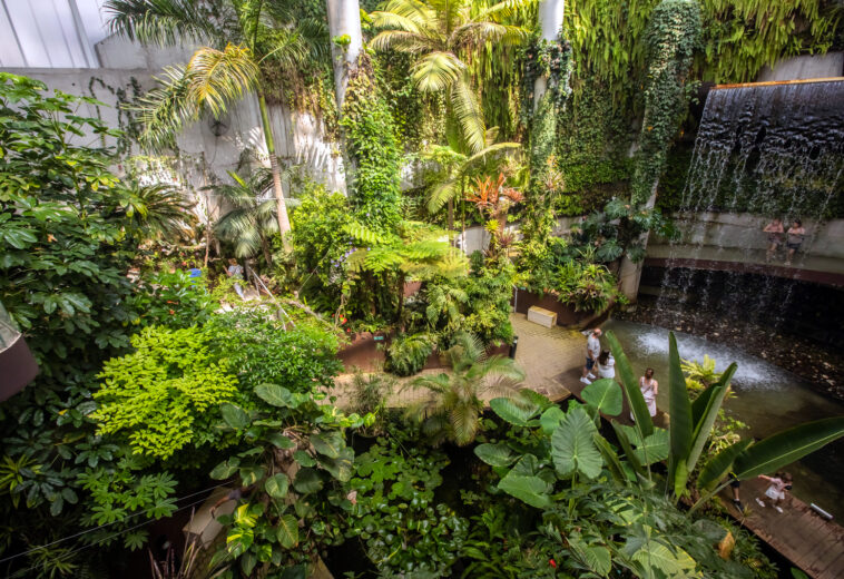 El Parque Botánico-Orquidario alcanza la mayor cifra de visitas desde su apertura con más de 54.000 entradas en un año