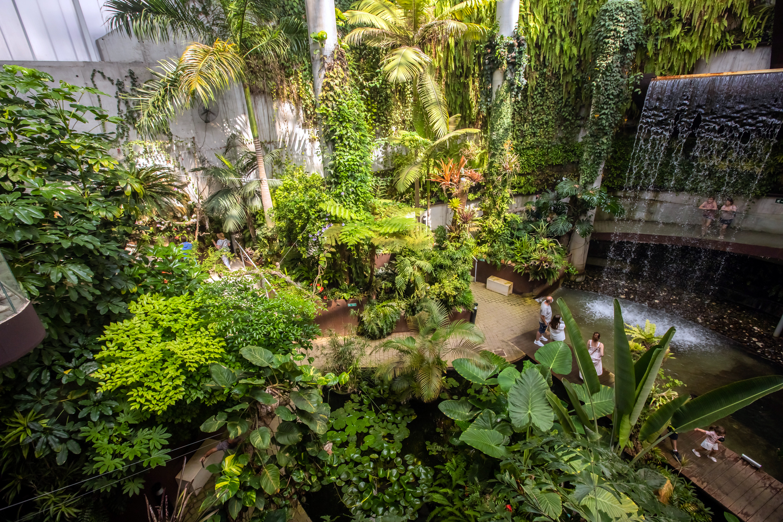 El Parque Botánico-Orquidario alcanza la mayor cifra de visitas desde su apertura con más de 54.000 entradas en un año