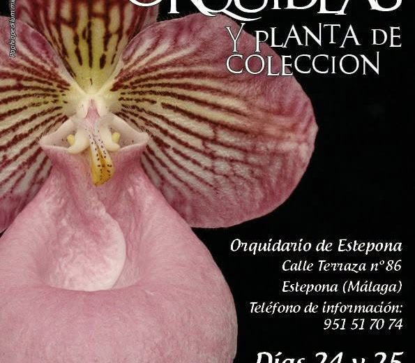 El Parque Botánico-Orquidario acogerá este fin de semana la 11ª Feria de Orquídeas y Planta de Colección