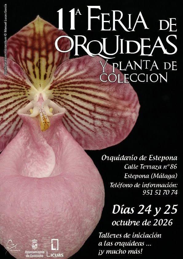El Parque Botánico-Orquidario acogerá este fin de semana la 11ª Feria de Orquídeas y Planta de Colección